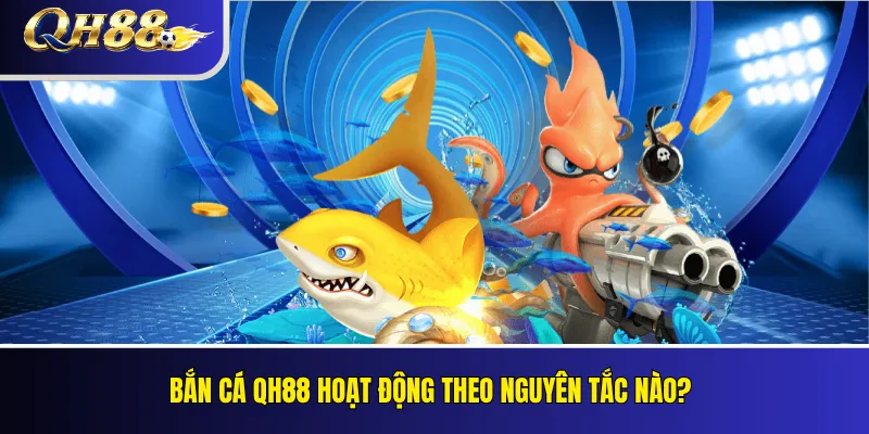 Bắn Cá QH88 – Phòng Chơi, Cơ Chế Điểm Và Quản Lý Ngân Sách 2 Bắn cá QH88 hoạt động theo nguyên tắc nào?