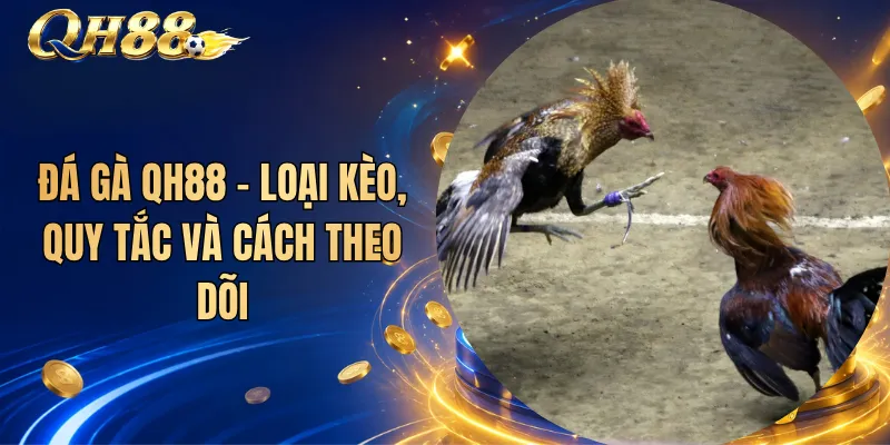 Đá Gà QH88 – Loại Kèo, Quy Tắc Và Cách Theo Dõi 1 Đá Gà QH88 – Loại Kèo, Quy Tắc Và Cách Theo Dõi