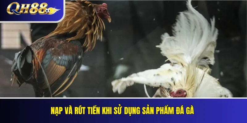 Đá Gà QH88 – Loại Kèo, Quy Tắc Và Cách Theo Dõi 5 Nạp và rút tiền khi sử dụng sản phẩm đá gà