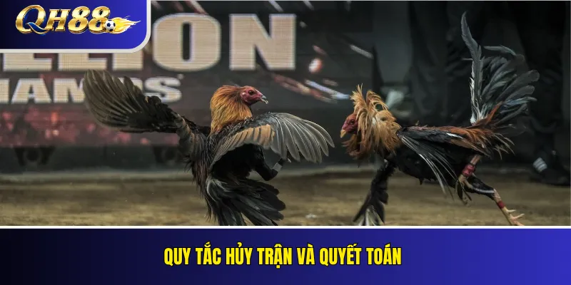Đá Gà QH88 – Loại Kèo, Quy Tắc Và Cách Theo Dõi 4 Quy tắc hủy trận và quyết toán